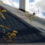 Битумная черепица БОБРОВЫЙ ХВОСТ Битумная черепица БОБРОВЫЙ ХВОСТ