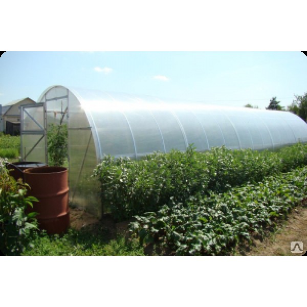 Теплица из поликарбоната Агролюкс Теплица из поликарбоната Агролюкс