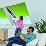 Мансардные окна ROTO с двумя осями поворота Мансардные окна ROTO с двумя осями поворота